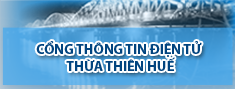 Cổng thông tin điện tử 